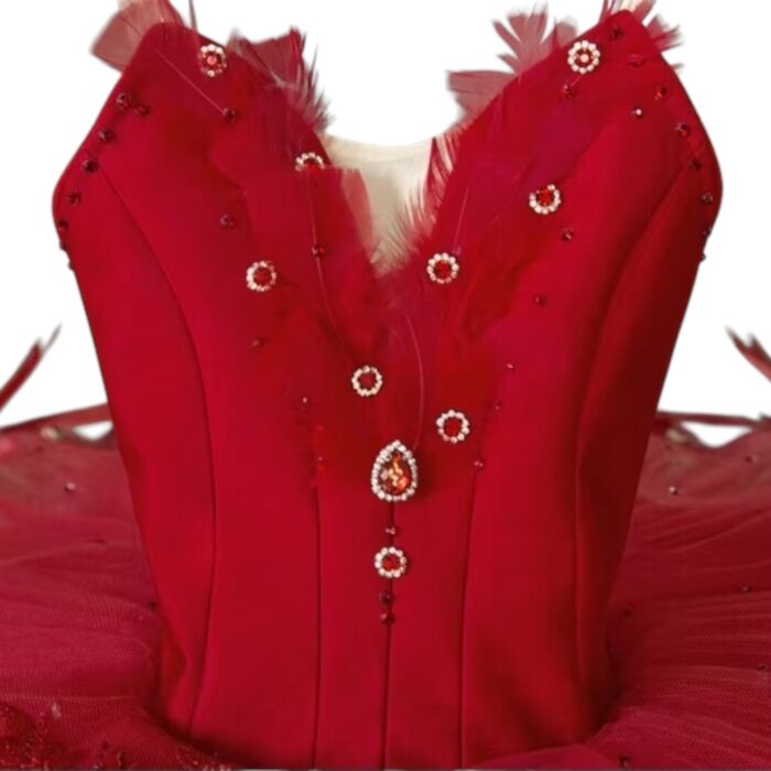 Firebird Ballet Tutu - Image 4